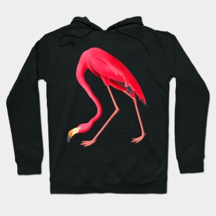 Pink Flamingo Illustration John James Audubon 1827 Hoodie